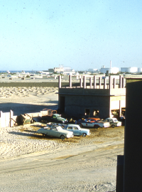 1950s cars parked outside a building